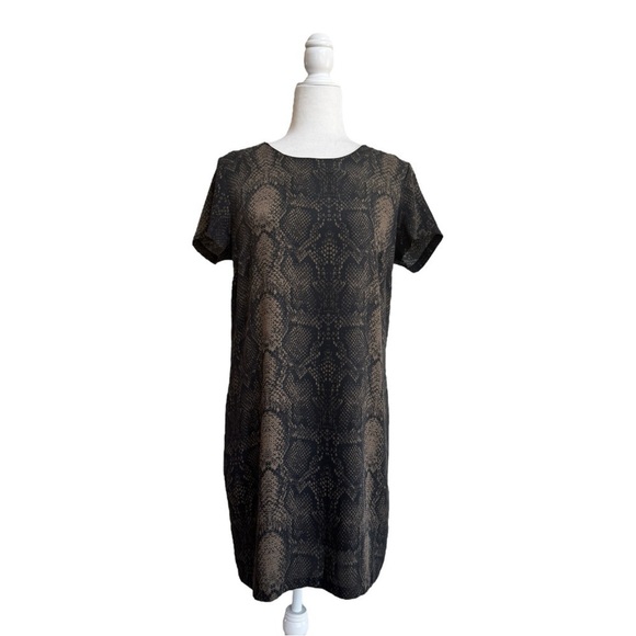 Nicole Miller Brown Black Snake Animal Print Short Sleeve Womens Size 6 Shift - Picture 1 of 13